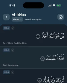 The Soorah reader in the blue dark theme.