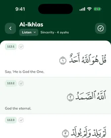 The Soorah reader in the green light theme.
